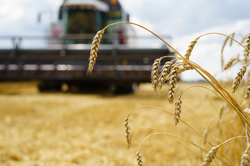 combine hire zimbabwe